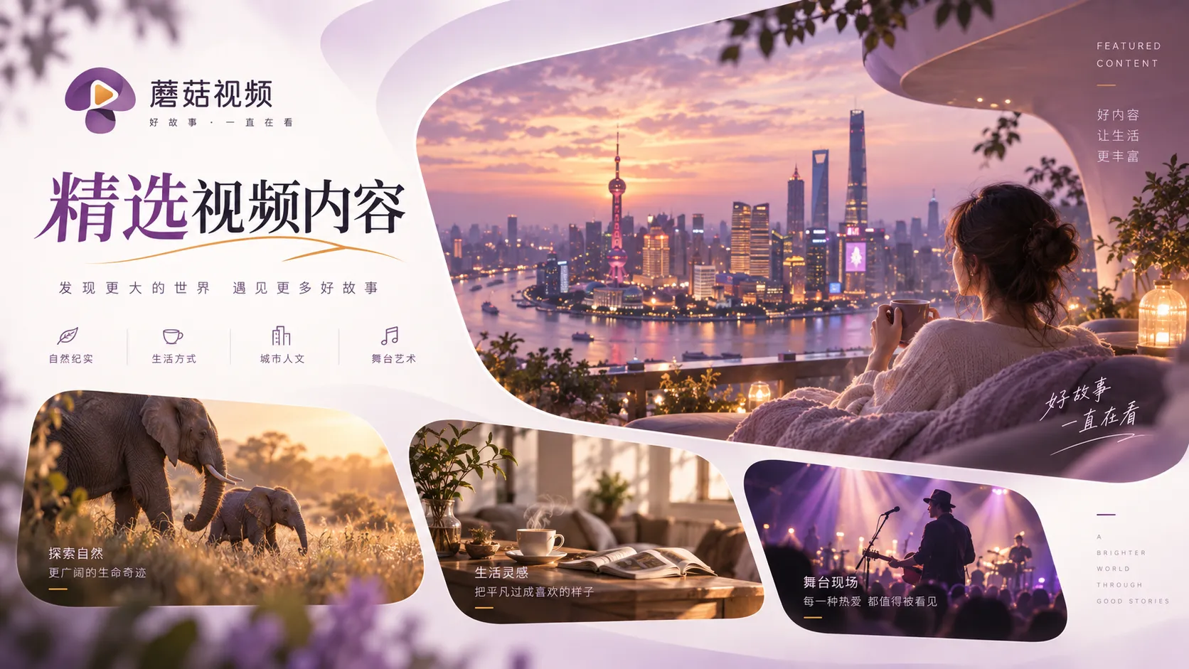 蘑菇视频电影观看主题整理